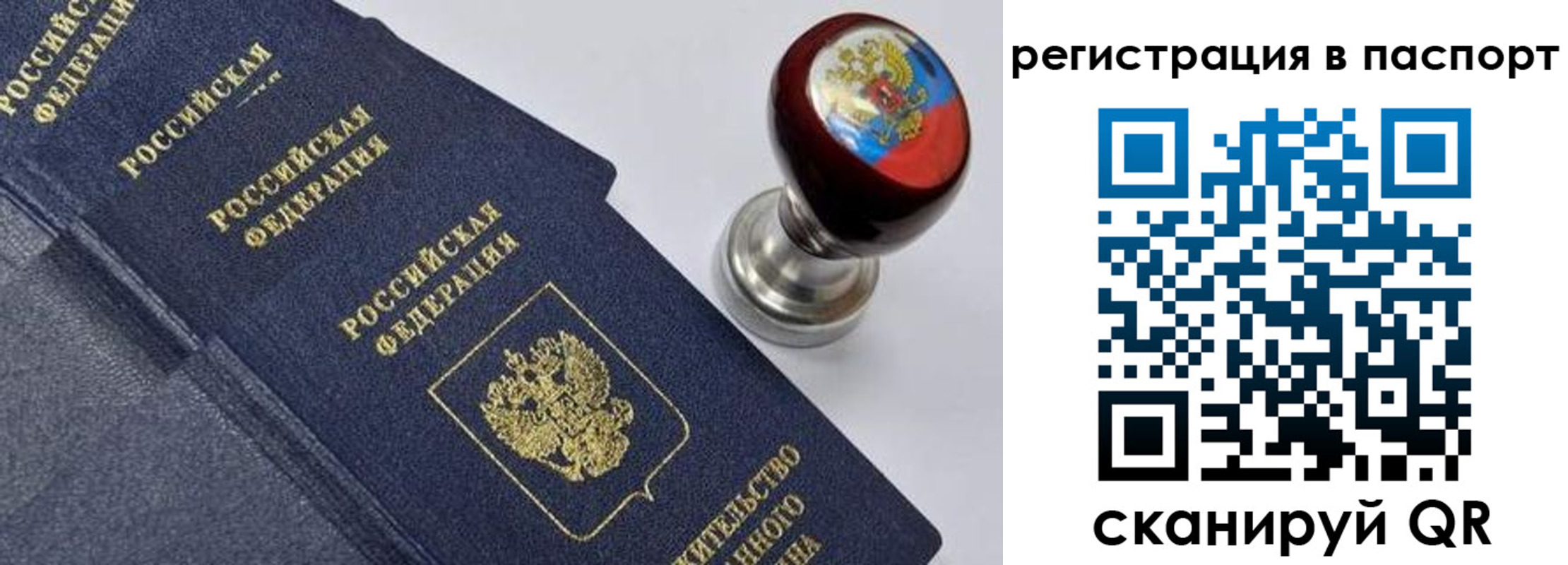 прописка поиск в Мурманске